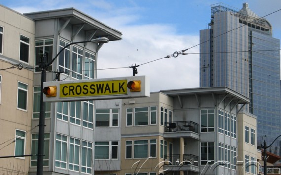 Sollicitudin vitae sodales in odio